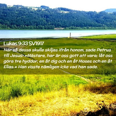 Picture 02 - Lukas 9:33 SV1917 - När så dessa skulle skiljas ifrån honom, sade - Bible Verse Picture