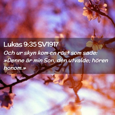 Picture 02 - Lukas 9:35 SV1917 - Och ur skyn kom en röst som sade: »Denne är - Bible Verse Picture