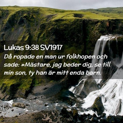 Picture 02 - Lukas 9:38 SV1917 - Då ropade en man ur folkhopen och sade: - Bible Verse Picture