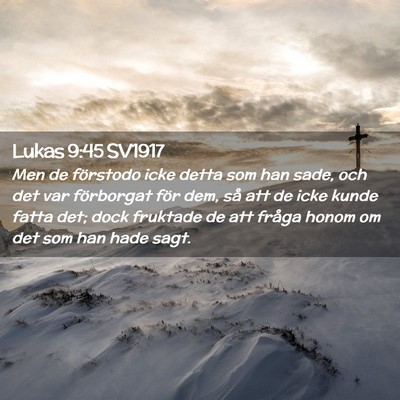 Picture 02 - Lukas 9:45 SV1917 - Men de förstodo icke detta som han sade, och det - Bible Verse Picture
