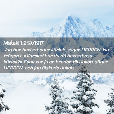Picture 02 - Malaki 1:2 SV1917 - Jag har bevisat eder kärlek, säger HERREN. Nu - Bible Verse Picture