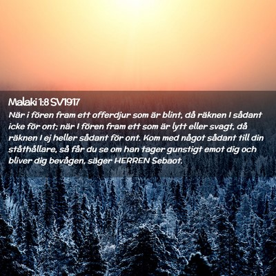 Picture 02 - Malaki 1:8 SV1917 - När i fören fram ett offerdjur som är blint, - Bible Verse Picture
