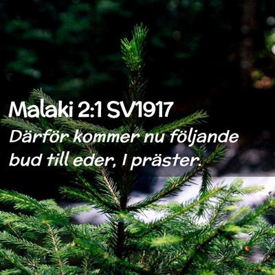Picture 02 - Malaki 2:1 SV1917 - Därför kommer nu följande bud till eder, I - Bible Verse Picture