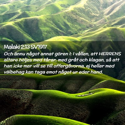Picture 02 - Malaki 2:13 SV1917 - Och ännu något annat gören I: I vållen, att - Bible Verse Picture