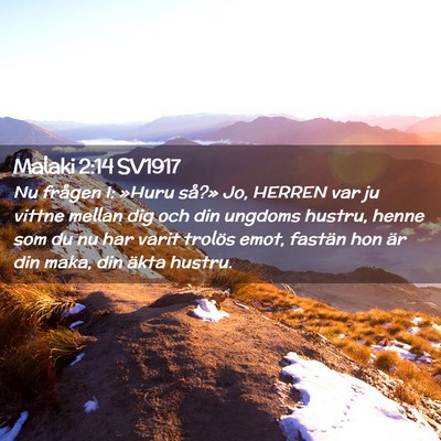 Picture 02 - Malaki 2:14 SV1917 - Nu frågen I: »Huru så?» Jo, HERREN var ju - Bible Verse Picture