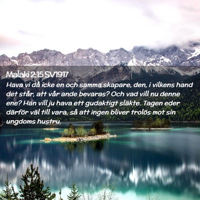 Picture 02 - Malaki 2:15 SV1917 - Hava vi då icke en och samma skapare, den, i - Bible Verse Picture