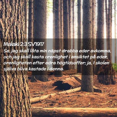 Picture 02 - Malaki 2:3 SV1917 - Se, jag skall låta min näpst drabba eder - Bible Verse Picture