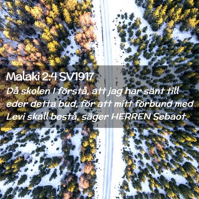 Picture 02 - Malaki 2:4 SV1917 - Då skolen I förstå, att jag har sänt till - Bible Verse Picture