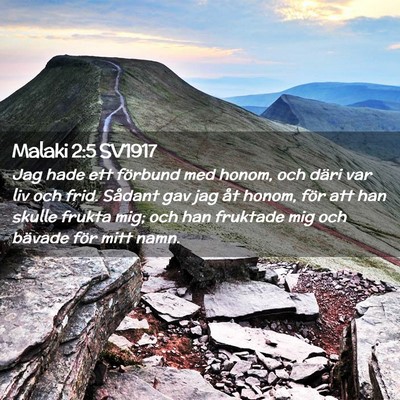 Picture 02 - Malaki 2:5 SV1917 - Jag hade ett förbund med honom, och däri var - Bible Verse Picture