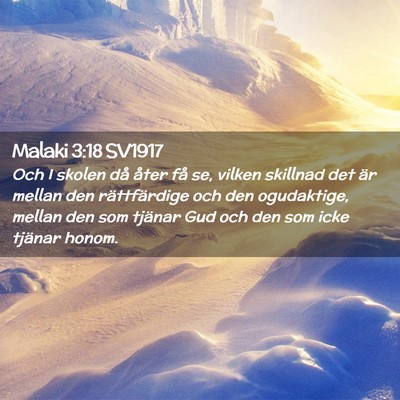 Picture 02 - Malaki 3:18 SV1917 - Och I skolen då åter få se, vilken skillnad - Bible Verse Picture