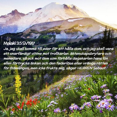 Picture 02 - Malaki 3:5 SV1917 - Ja, jag skall komma till eder för att hålla - Bible Verse Picture