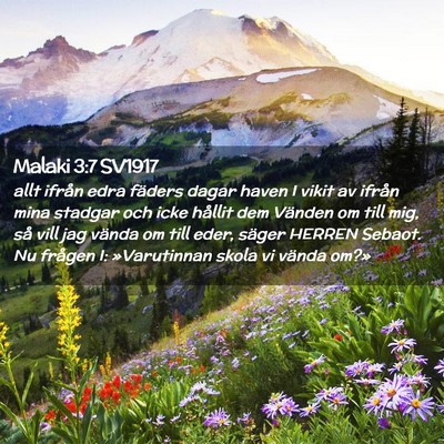 Picture 02 - Malaki 3:7 SV1917 - allt ifrån edra fäders dagar haven I vikit av - Bible Verse Picture