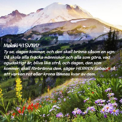 Picture 02 - Malaki 4:1 SV1917 - Ty se, dagen kommer, och den skall brinna såsom - Bible Verse Picture
