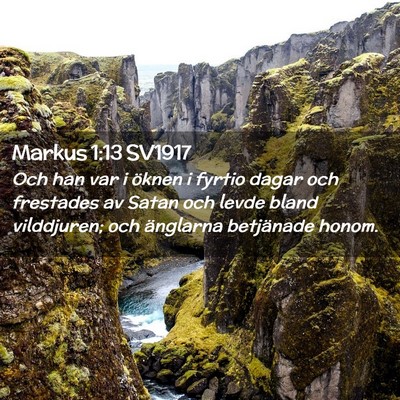 Picture 02 - Markus 1:13 SV1917 - Och han var i öknen i fyrtio dagar och frestades - Bible Verse Picture