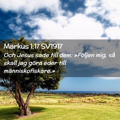 Picture 02 - Markus 1:17 SV1917 - Och Jesus sade till dem: »Följen mig, så skall - Bible Verse Picture
