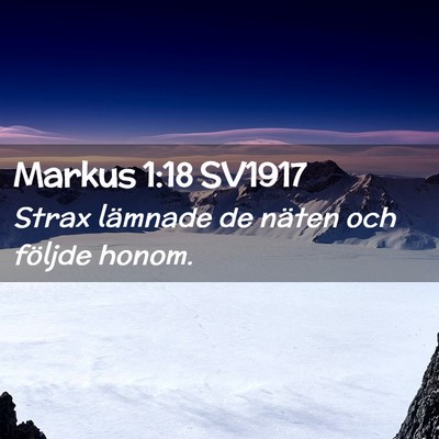 Picture 02 - Markus 1:18 SV1917 - Strax lämnade de näten och följde - Bible Verse Picture