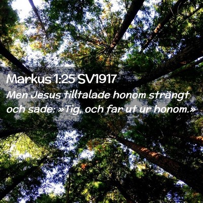 Picture 02 - Markus 1:25 SV1917 - Men Jesus tilltalade honom strängt och sade: - Bible Verse Picture
