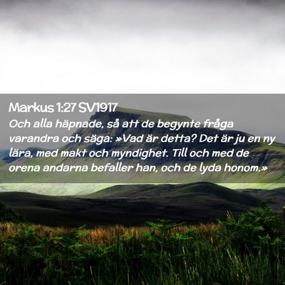 Picture 02 - Markus 1:27 SV1917 - Och alla häpnade, så att de begynte fråga - Bible Verse Picture