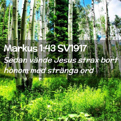 Picture 02 - Markus 1:43 SV1917 - Sedan vände Jesus strax bort honom med stränga - Bible Verse Picture