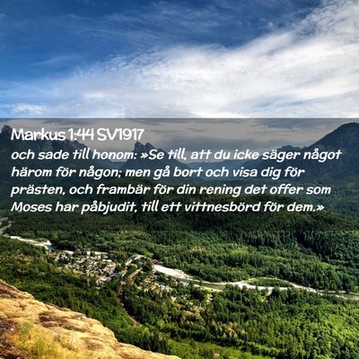Picture 02 - Markus 1:44 SV1917 - och sade till honom: »Se till, att du icke - Bible Verse Picture
