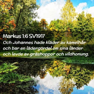 Picture 02 - Markus 1:6 SV1917 - Och Johannes hade kläder av kamelhår och bar en - Bible Verse Picture