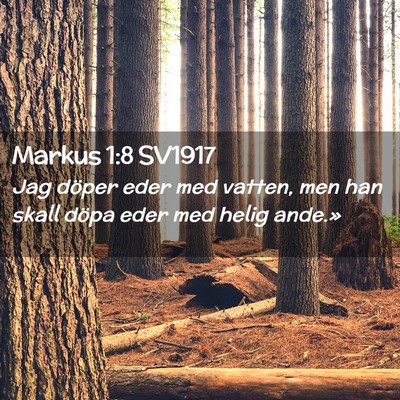 Picture 02 - Markus 1:8 SV1917 - Jag döper eder med vatten, men han skall döpa - Bible Verse Picture