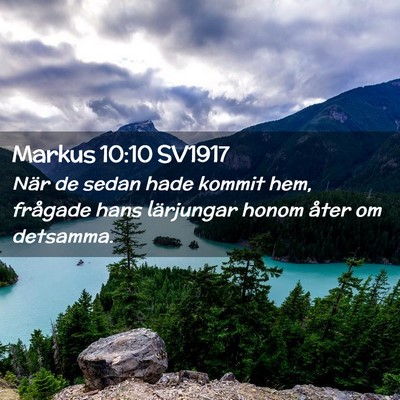 Picture 02 - Markus 10:10 SV1917 - När de sedan hade kommit hem, frågade hans - Bible Verse Picture