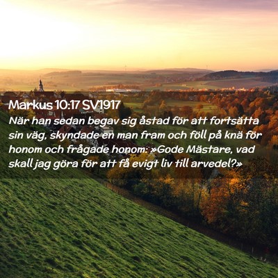 Picture 02 - Markus 10:17 SV1917 - När han sedan begav sig åstad för att - Bible Verse Picture