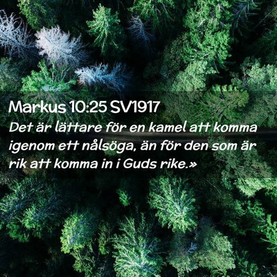 Picture 02 - Markus 10:25 SV1917 - Det är lättare för en kamel att komma igenom - Bible Verse Picture