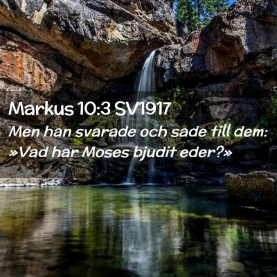 Picture 02 - Markus 10:3 SV1917 - Men han svarade och sade till dem: »Vad har - Bible Verse Picture