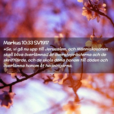 Picture 02 - Markus 10:33 SV1917 - »Se, vi gå nu upp till Jerusalem, och - Bible Verse Picture
