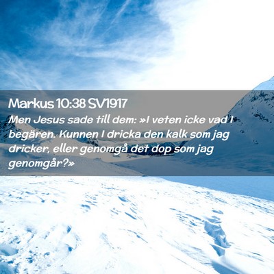 Picture 02 - Markus 10:38 SV1917 - Men Jesus sade till dem: »I veten icke vad I - Bible Verse Picture