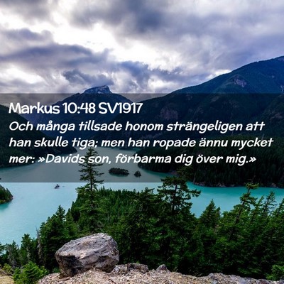 Picture 02 - Markus 10:48 SV1917 - Och många tillsade honom strängeligen att han - Bible Verse Picture