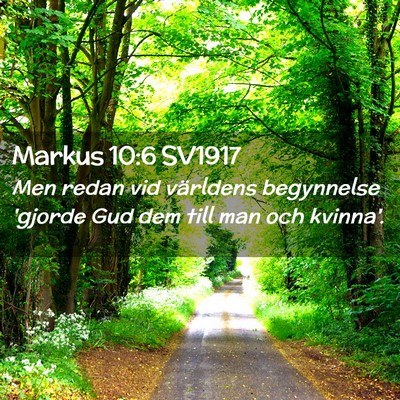 Picture 02 - Markus 10:6 SV1917 - Men redan vid världens begynnelse 'gjorde Gud - Bible Verse Picture