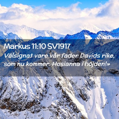 Picture 02 - Markus 11:10 SV1917 - Välsignat vare vår fader Davids rike, som nu - Bible Verse Picture