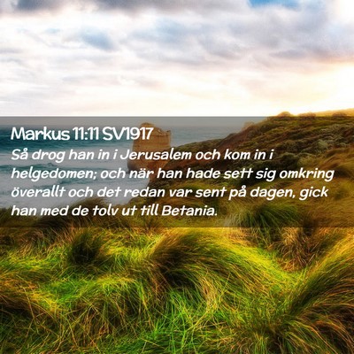 Picture 02 - Markus 11:11 SV1917 - Så drog han in i Jerusalem och kom in i - Bible Verse Picture