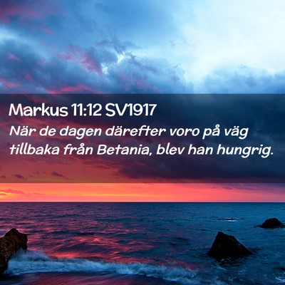 Picture 02 - Markus 11:12 SV1917 - När de dagen därefter voro på väg tillbaka - Bible Verse Picture