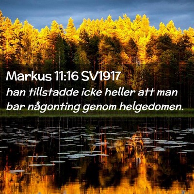 Picture 02 - Markus 11:16 SV1917 - han tillstadde icke heller att man bar någonting - Bible Verse Picture