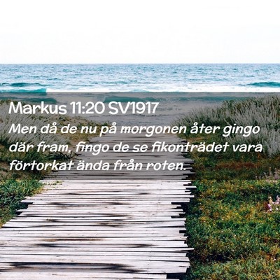 Picture 02 - Markus 11:20 SV1917 - Men då de nu på morgonen åter gingo där fram, - Bible Verse Picture