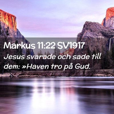 Picture 02 - Markus 11:22 SV1917 - Jesus svarade och sade till dem: »Haven tro på - Bible Verse Picture