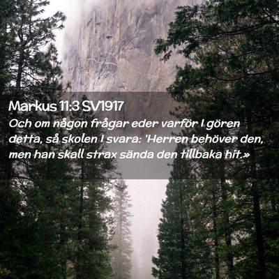 Picture 02 - Markus 11:3 SV1917 - Och om någon frågar eder varför I gören - Bible Verse Picture