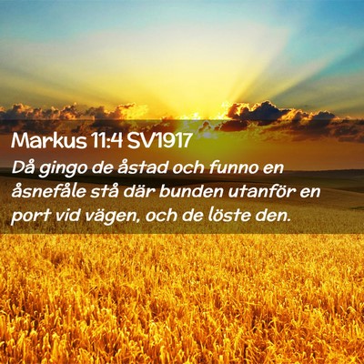 Picture 02 - Markus 11:4 SV1917 - Då gingo de åstad och funno en åsnefåle stå - Bible Verse Picture