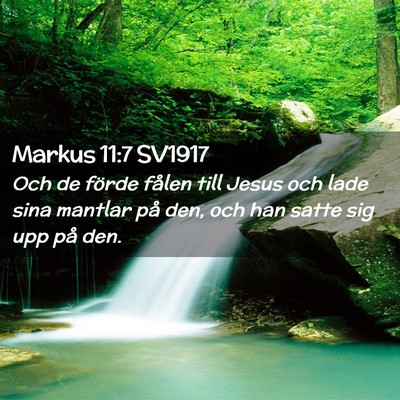 Picture 02 - Markus 11:7 SV1917 - Och de förde fålen till Jesus och lade sina - Bible Verse Picture