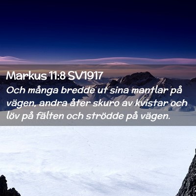 Picture 02 - Markus 11:8 SV1917 - Och många bredde ut sina mantlar på vägen, - Bible Verse Picture