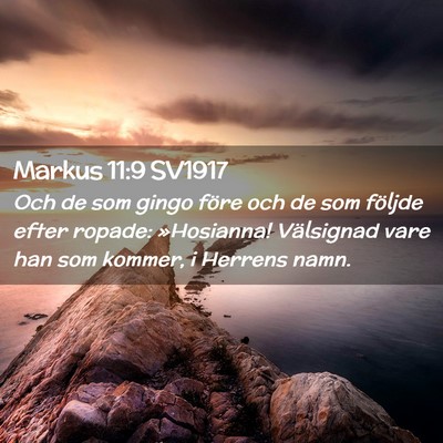 Picture 02 - Markus 11:9 SV1917 - Och de som gingo före och de som följde efter - Bible Verse Picture