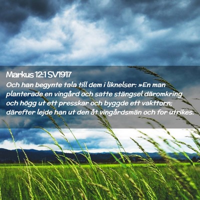 Picture 02 - Markus 12:1 SV1917 - Och han begynte tala till dem i liknelser: »En - Bible Verse Picture