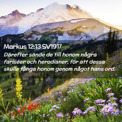 Picture 02 - Markus 12:13 SV1917 - Därefter sände de till honom några fariséer - Bible Verse Picture