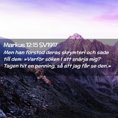 Picture 02 - Markus 12:15 SV1917 - Men han förstod deras skrymteri och sade till - Bible Verse Picture