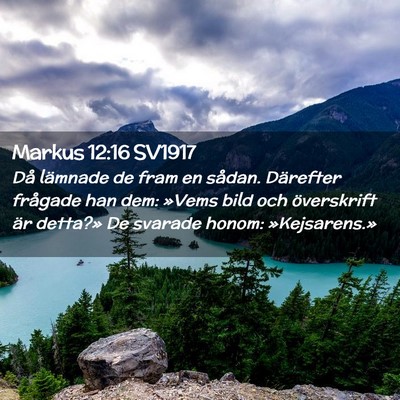 Picture 02 - Markus 12:16 SV1917 - Då lämnade de fram en sådan. Därefter - Bible Verse Picture