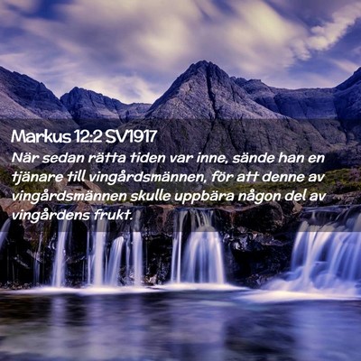 Picture 02 - Markus 12:2 SV1917 - När sedan rätta tiden var inne, sände han en - Bible Verse Picture